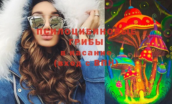спиды Зеленокумск