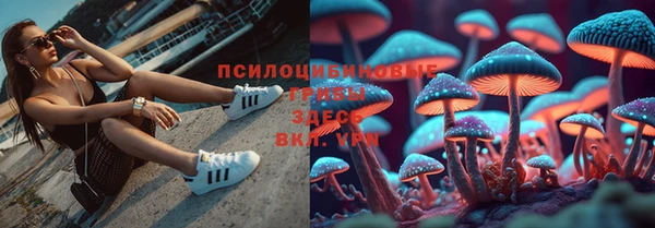 спиды Зеленокумск