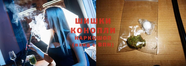 спиды Зеленокумск