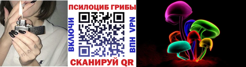 Купить  Бодайбо  Псилоцибиновые грибы Cubensis 