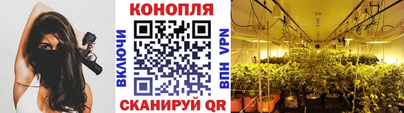 Купить где  Бодайбо  Шишки марихуана LSD WEED 